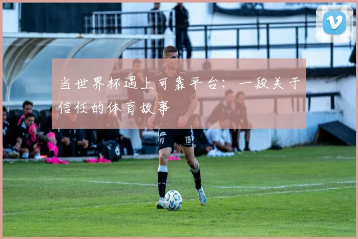 当世界杯遇上可靠平台:一段关于信任的体育故事
