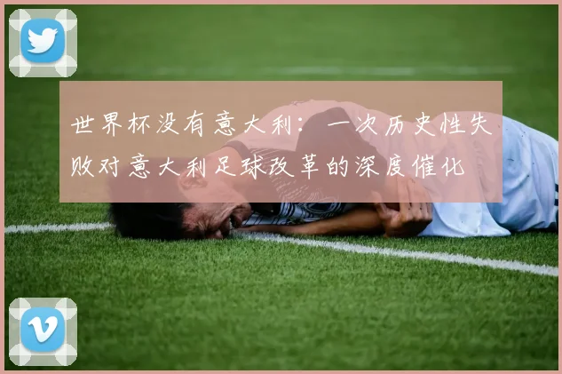 世界杯没有意大利：一次历史性失败对意大利足球改革的深度催化