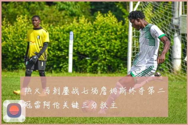 热火马刺鏖战七场詹姆斯终夺第二冠雷阿伦关键三分救主