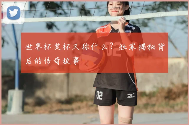 世界杯奖杯又称什么？独家揭秘背后的传奇故事