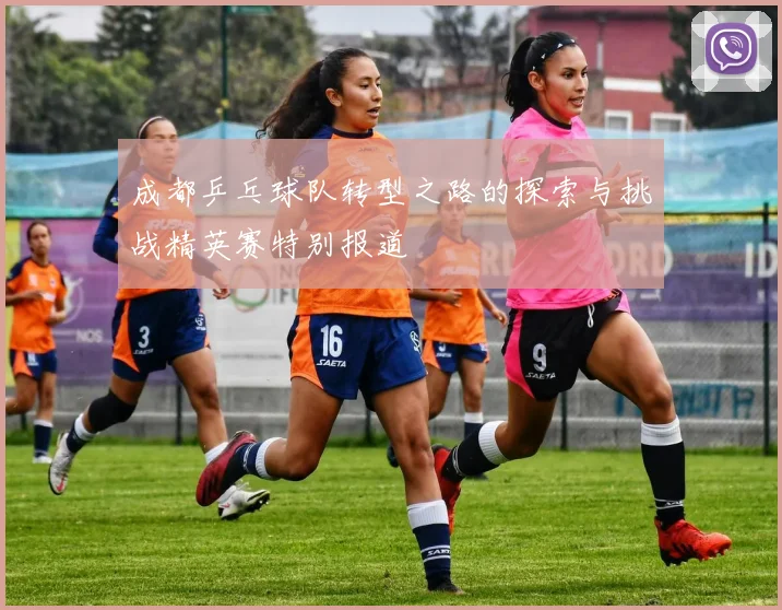 成都乒乓球队转型之路的探索与挑战精英赛特别报道