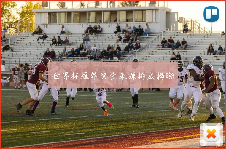 世界杯冠军奖金来源构成揭晓