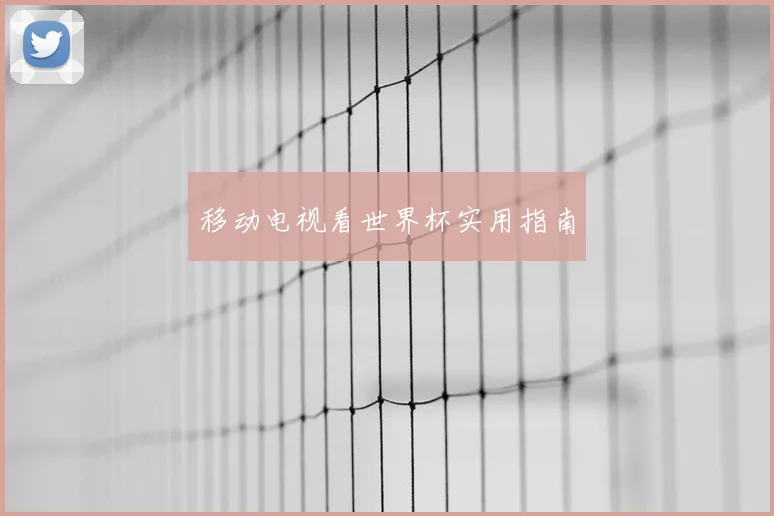 移动电视看世界杯实用指南