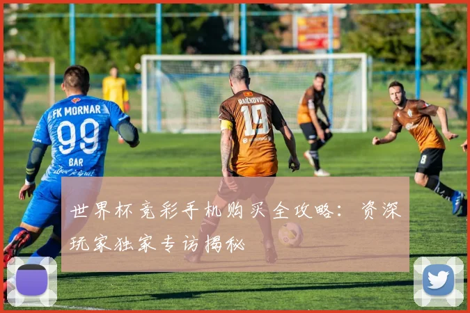 世界杯竞彩手机购买全攻略：资深玩家独家专访揭秘