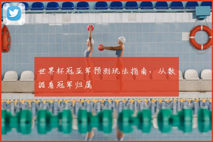 世界杯冠亚军预测玩法指南，从数据看冠军归属