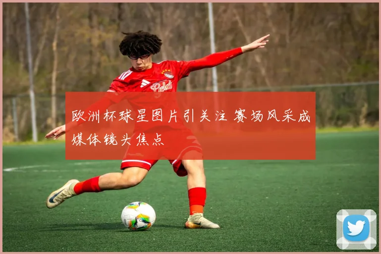 欧洲杯球星图片引关注 赛场风采成媒体镜头焦点